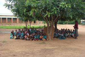 Class under a Tree